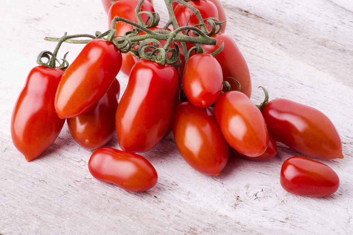 Marzano tomatoes