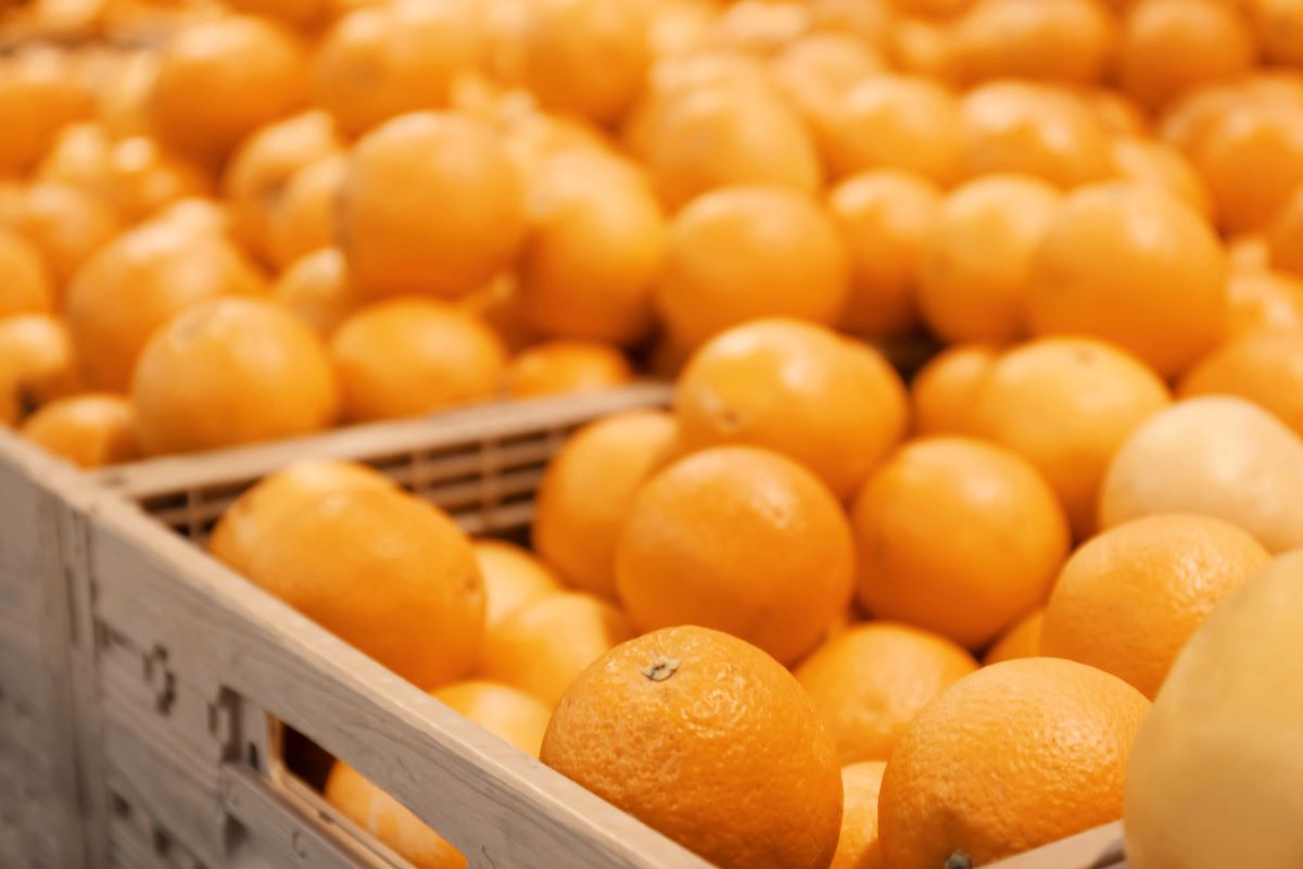 OrangesSerezniy