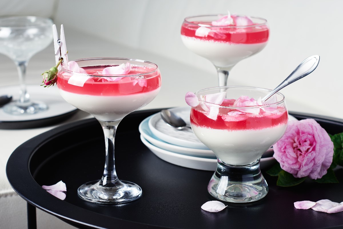 Panna cotta