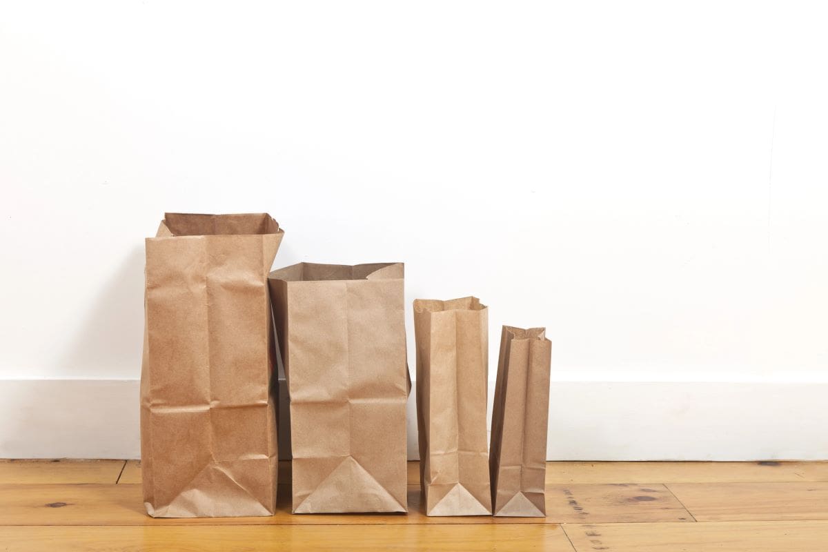 Paper bagsTmasters03