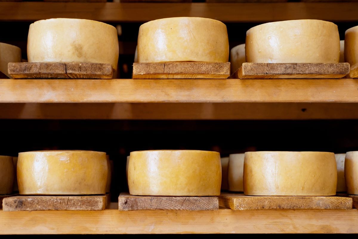 Plymouth Artisan CheeseMliss