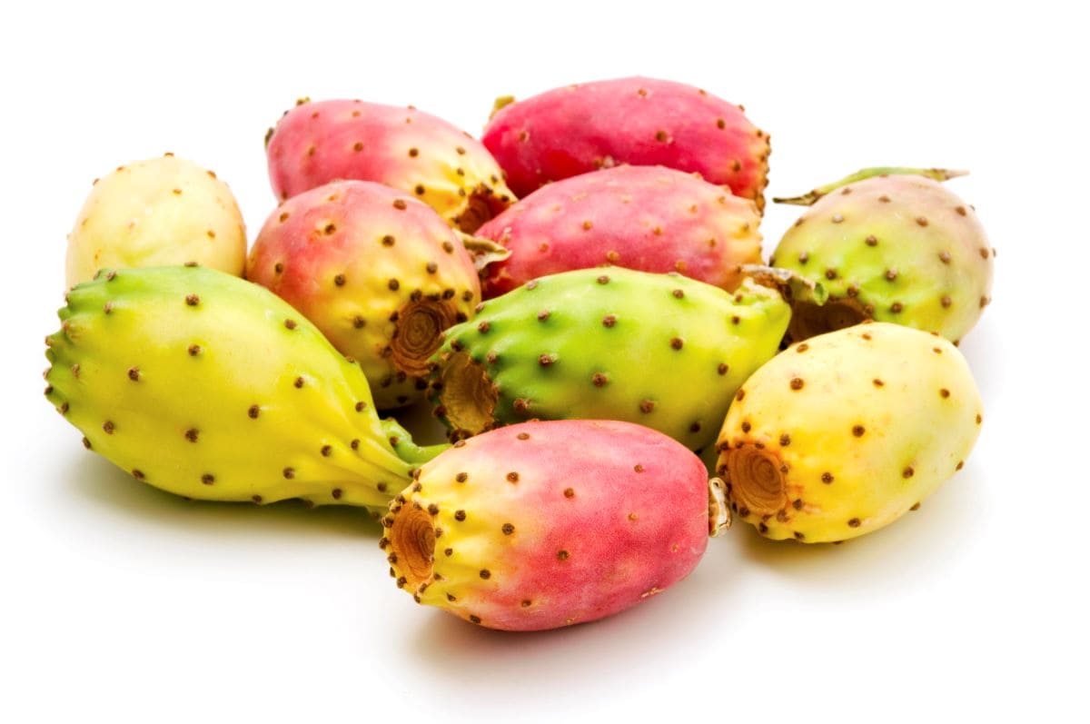 Prickly PearOnlyfabrizio