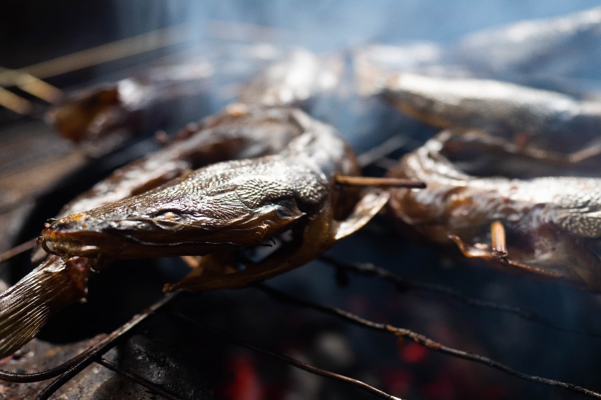 Smoked catfish