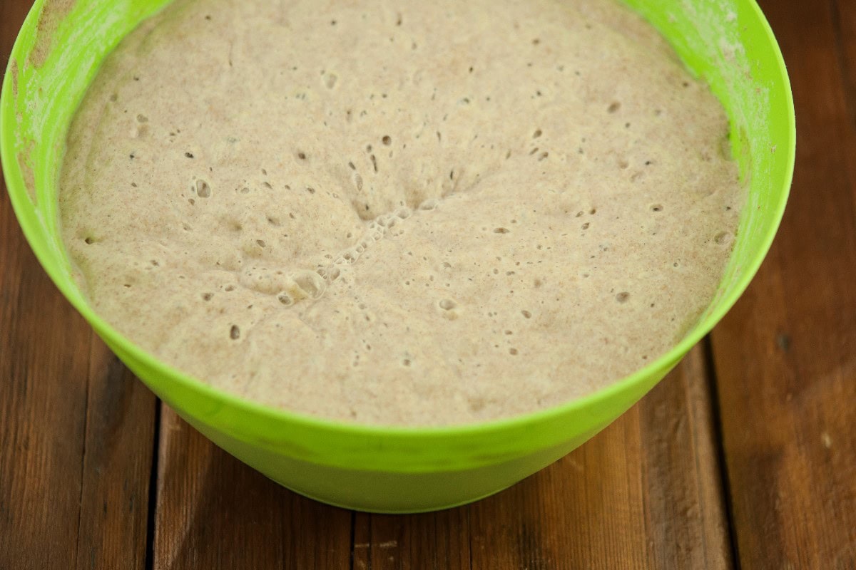 Sourdough starter fermentation