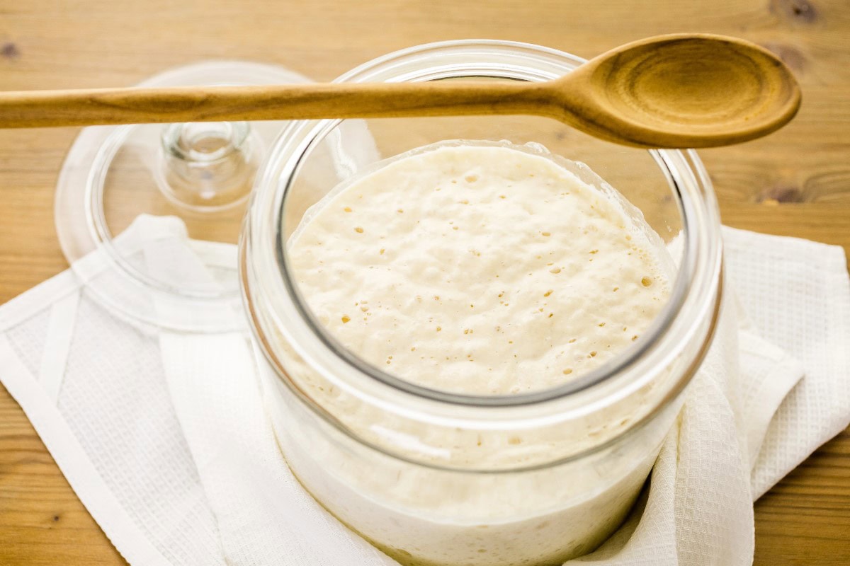 Sourdough starter