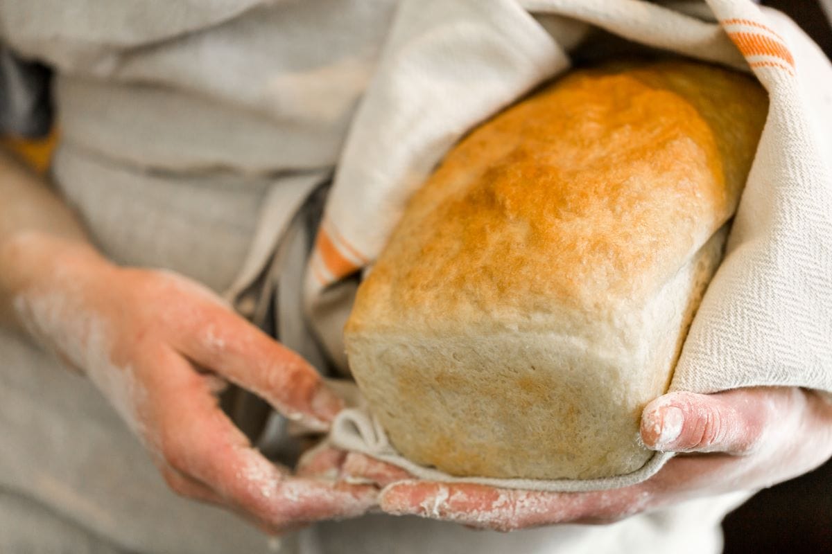 SourdoughUrban light