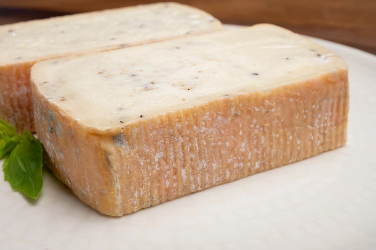 Taleggio