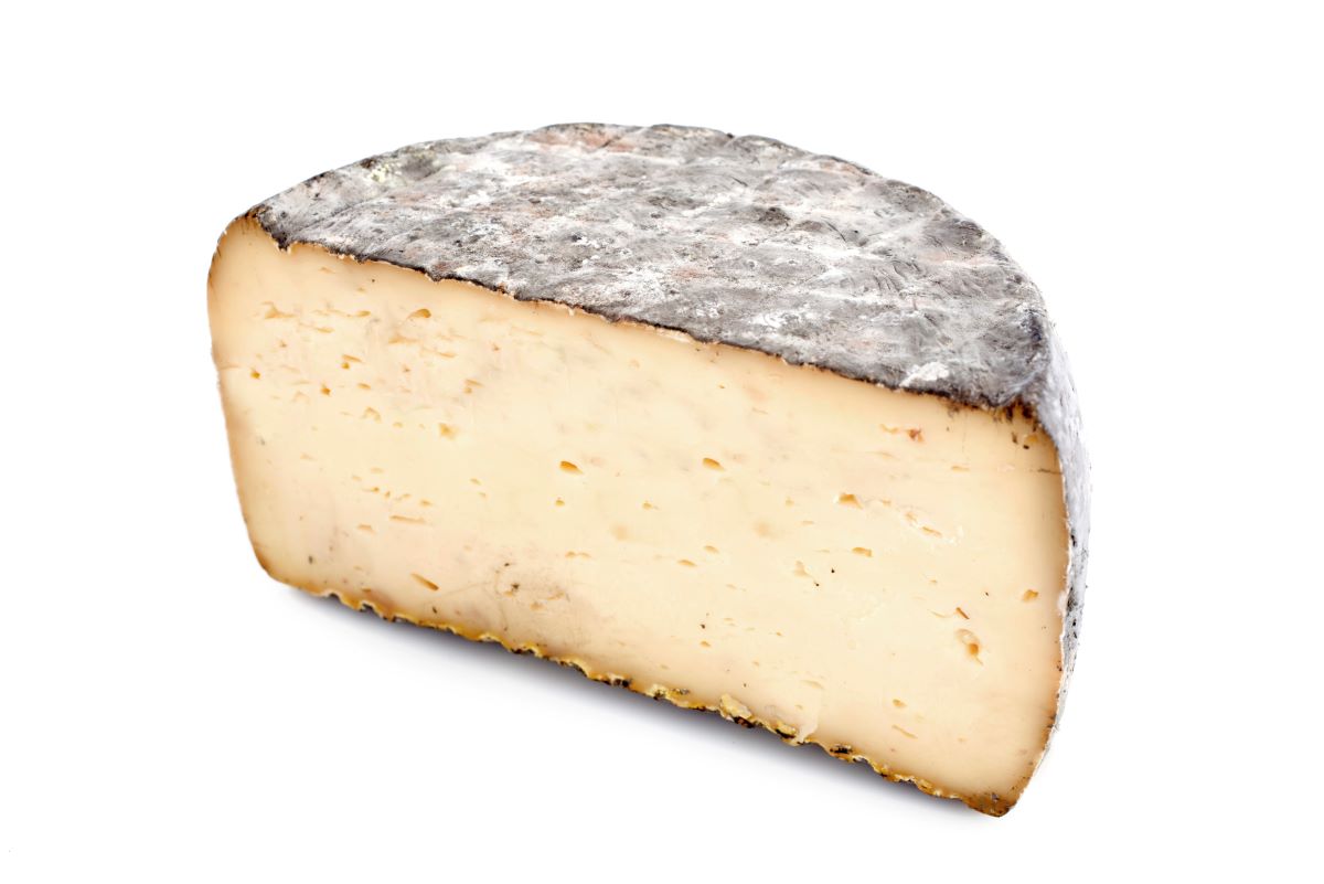 Tomme de SavoieCynoclub
