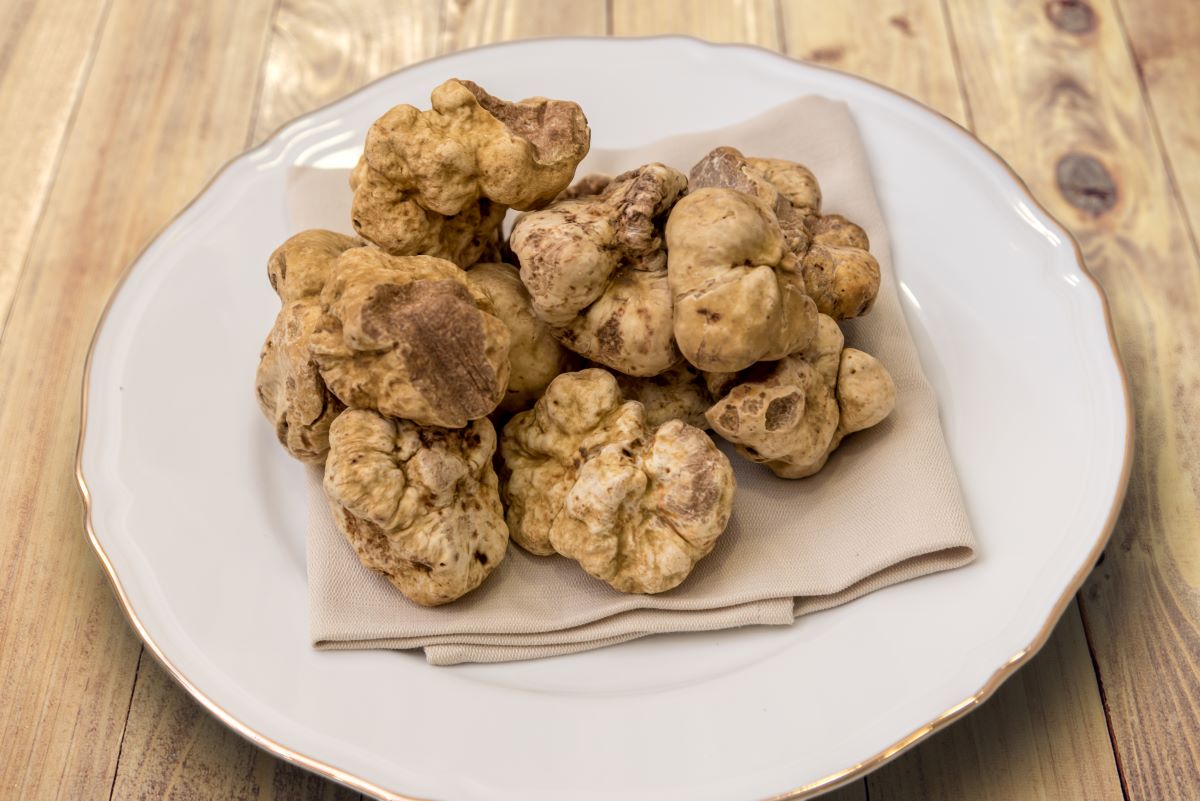Truffles2Framarzo