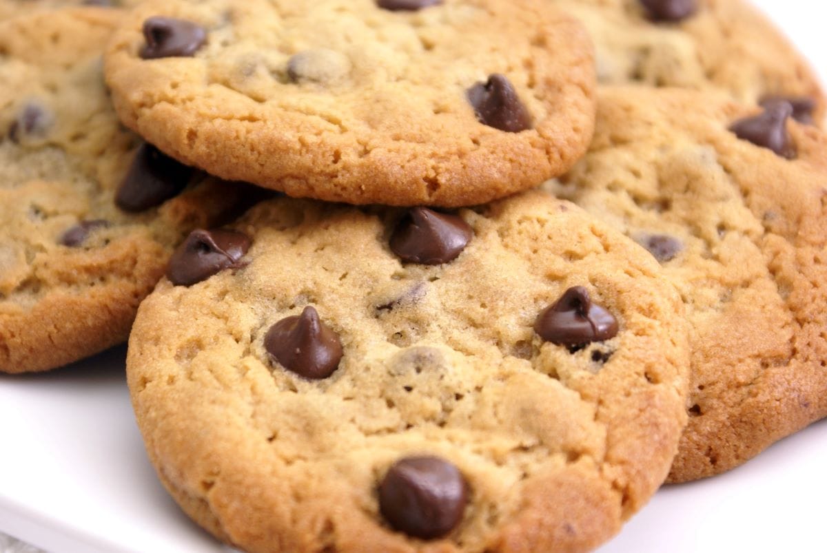 Warm Chocolate Chip CookieStudiosnowden