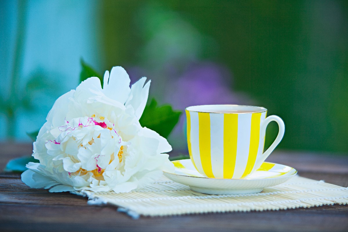 White peony tea