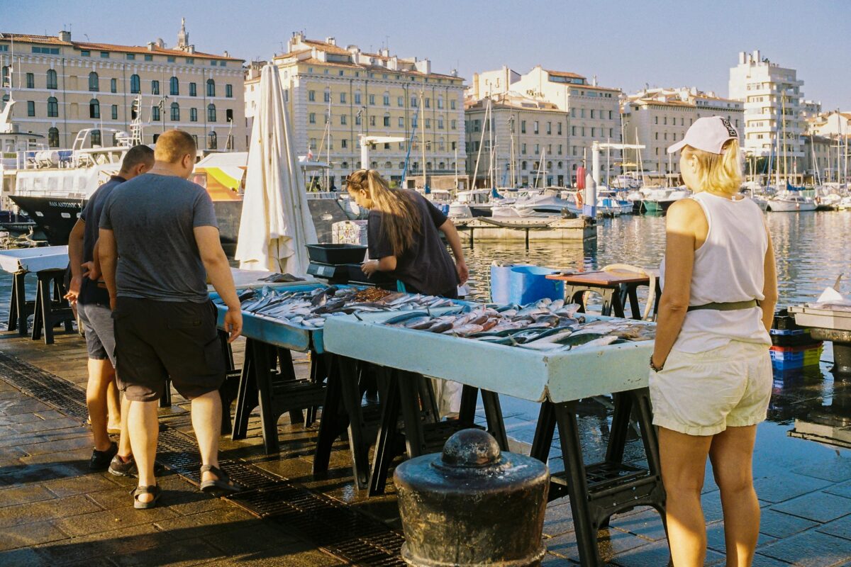 A bustling fish market by the scenic Vieux-Port in Marseille, France, capturing local life and rustic charm.