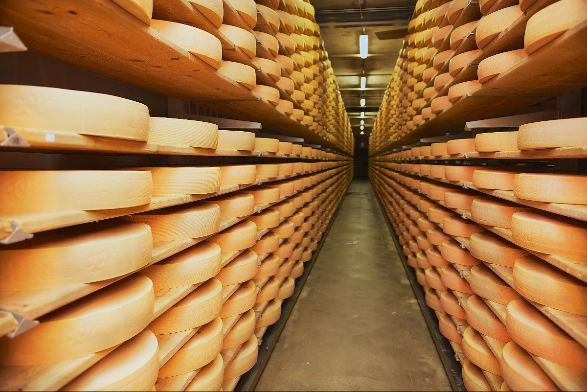 Age lasring Cheese Cellar