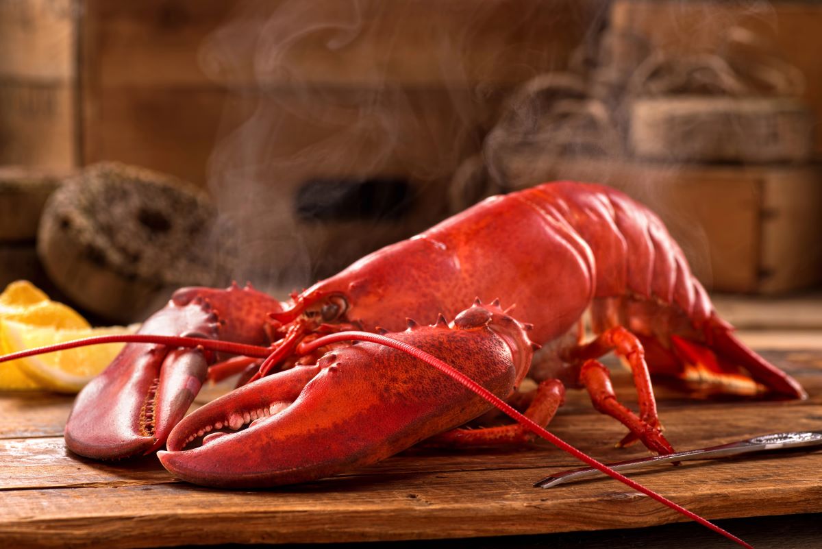 Atlantic Lobster