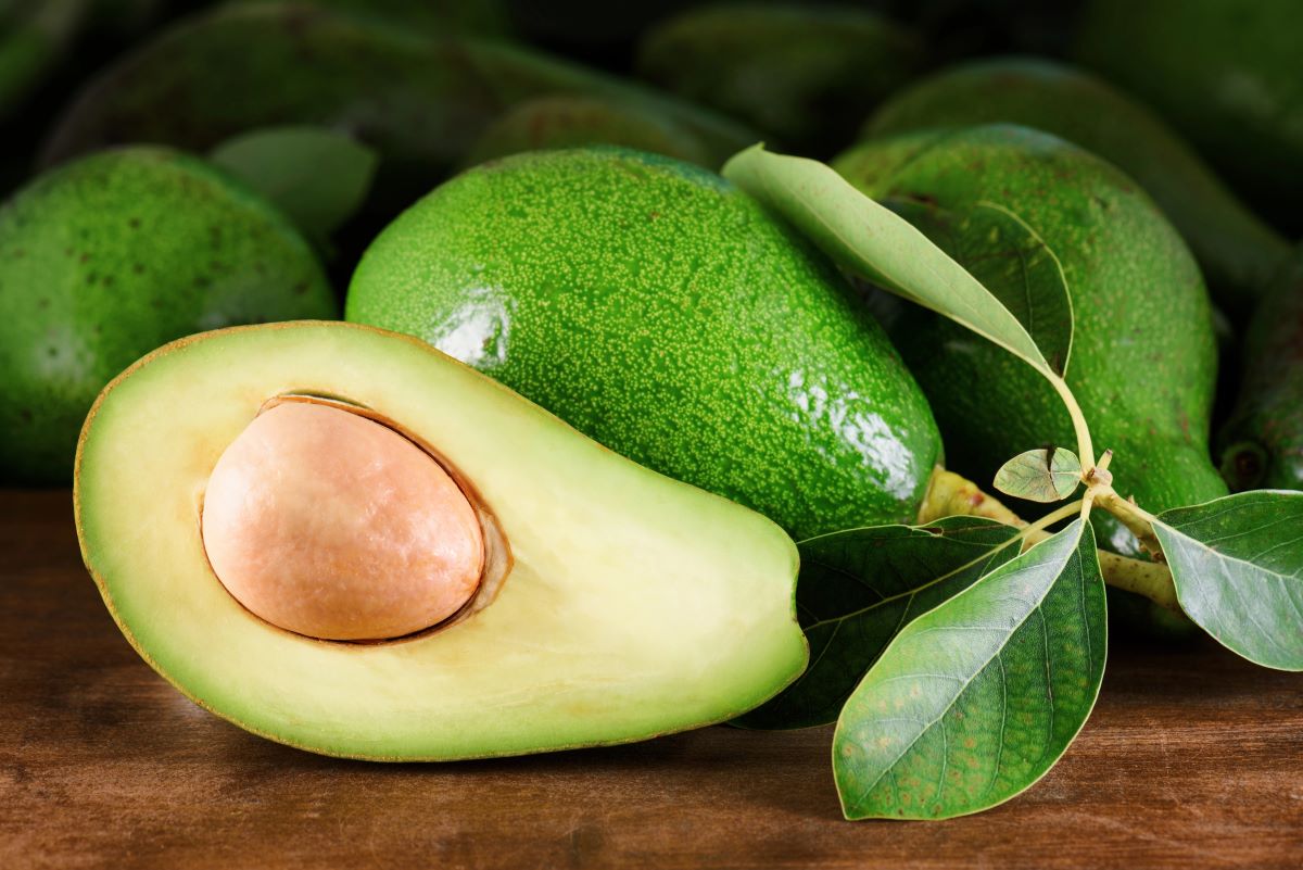 Avocado with stem