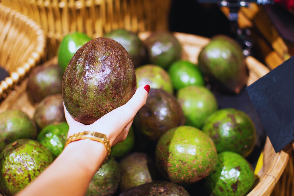 Bigger avocado