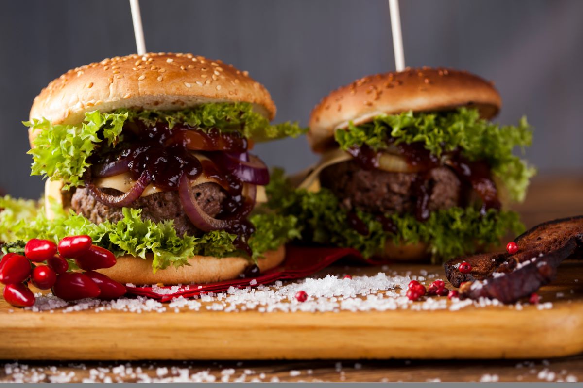 Bison Burger