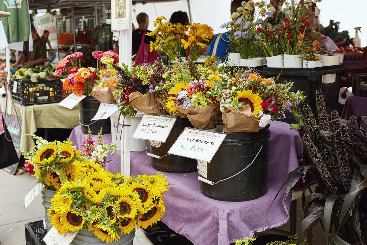 Boulder market