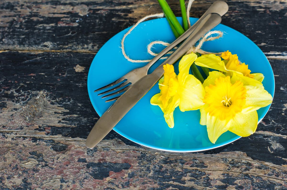 Bright plate for dinner party
