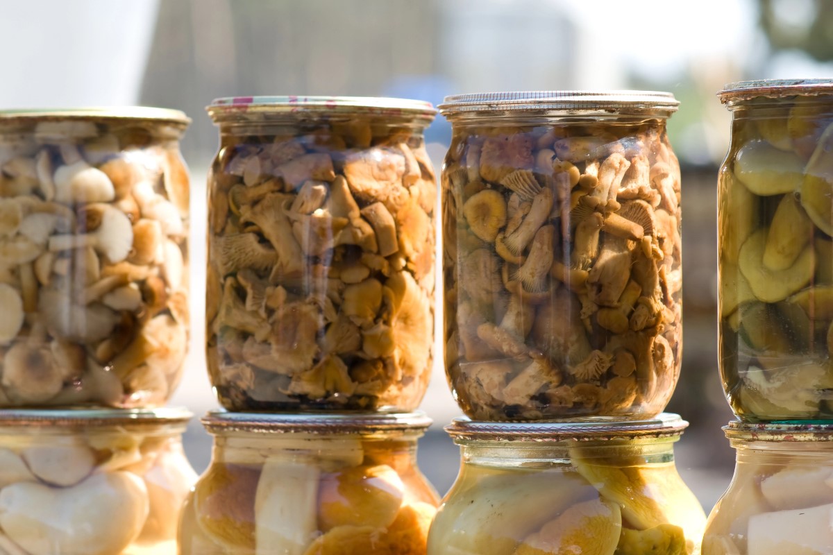 Canned mushroom