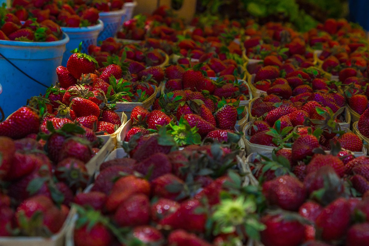 Charleston farmer market