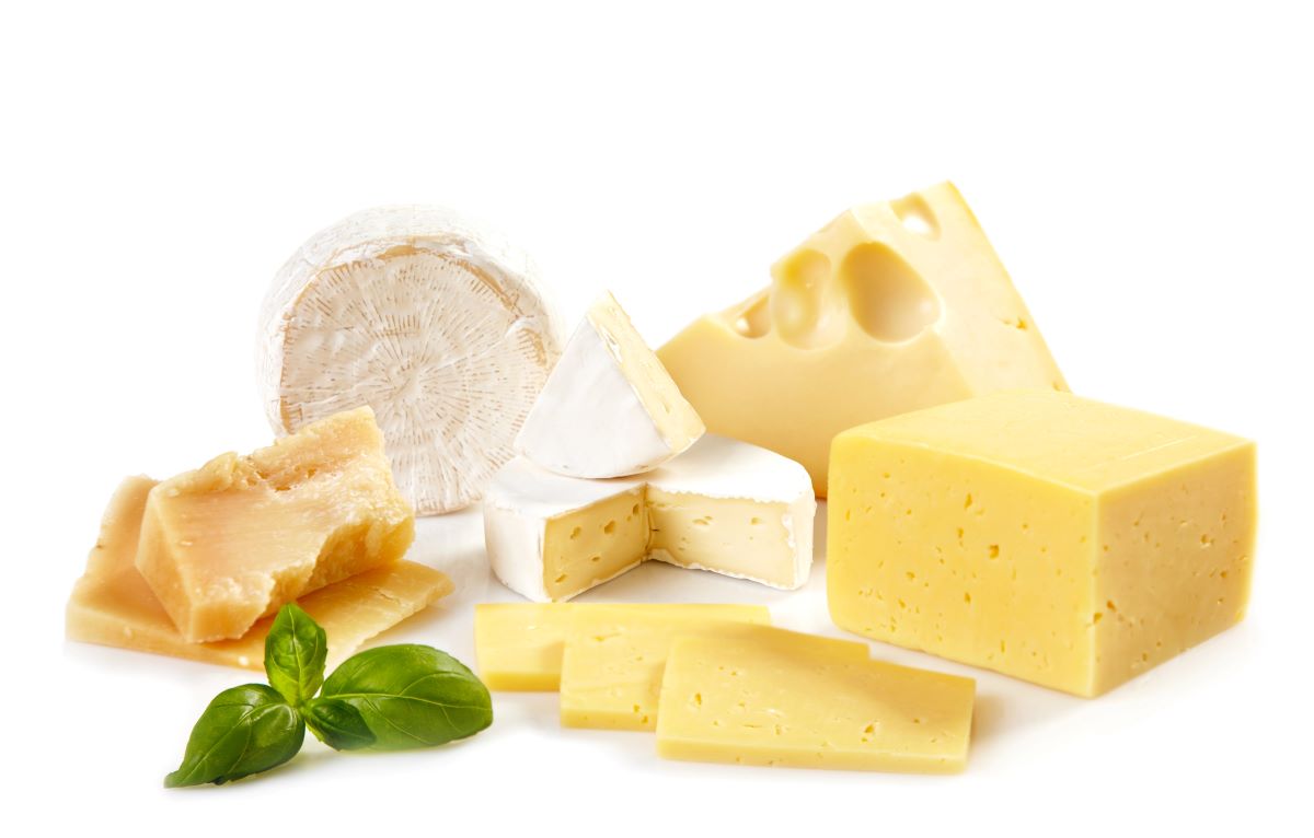 Cheese 2
