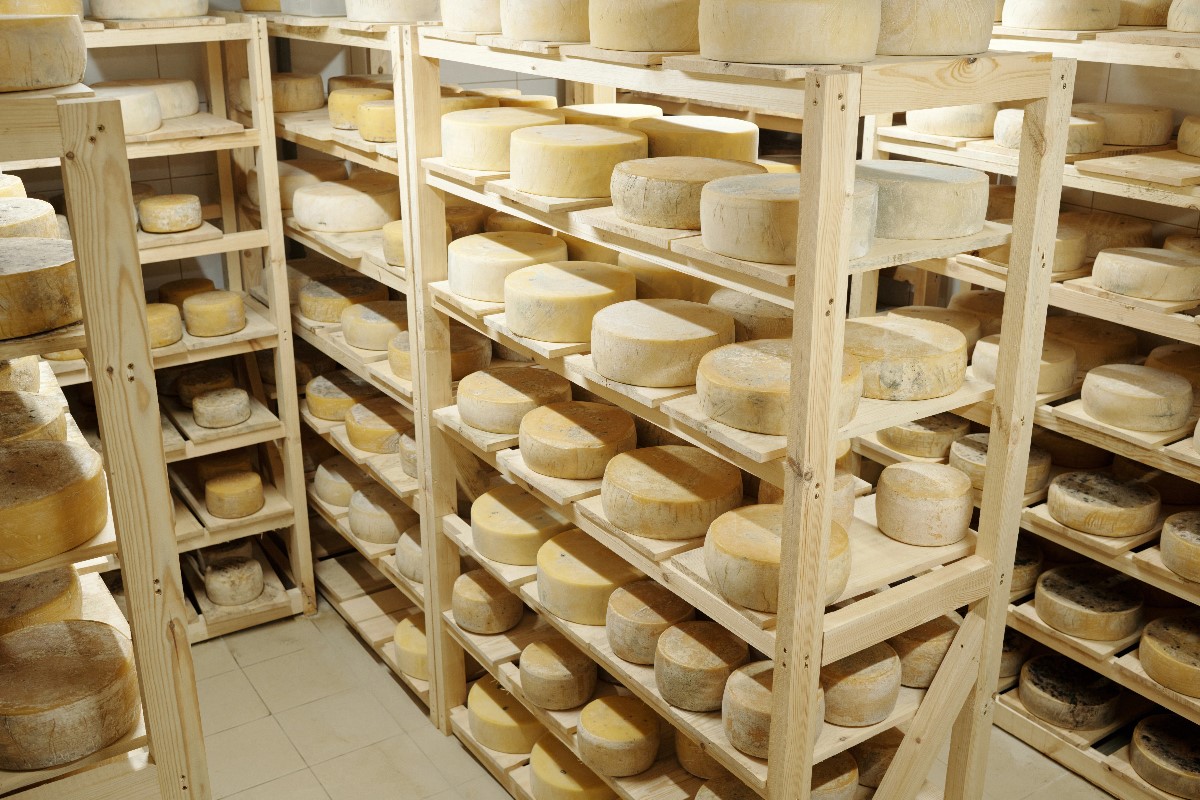 Cheese cellar
