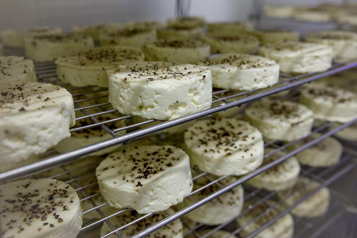Cheese in shielf