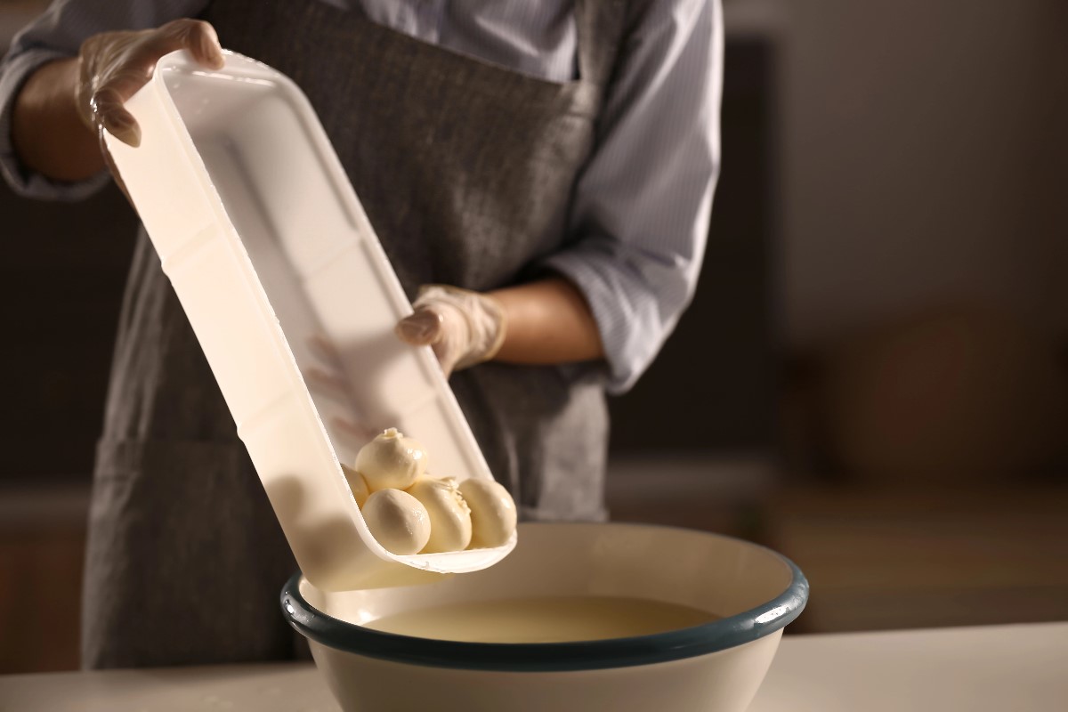 Cheese making
