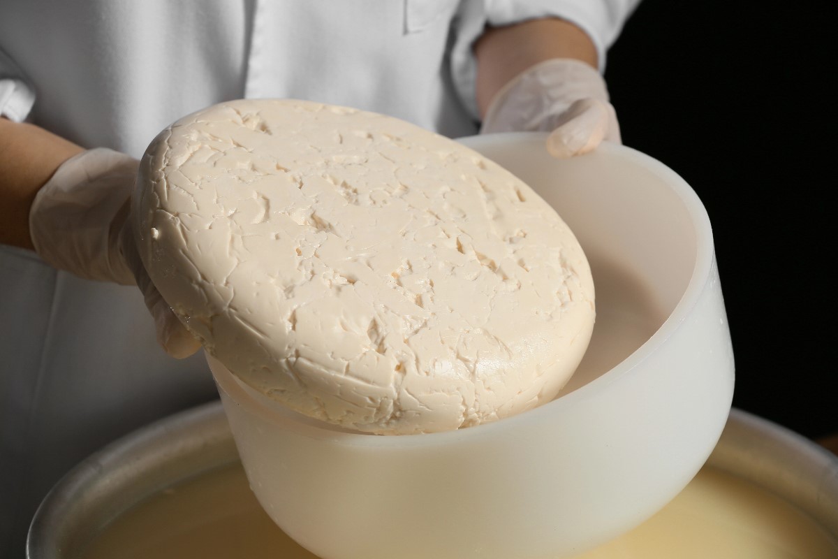 Cheese preparation