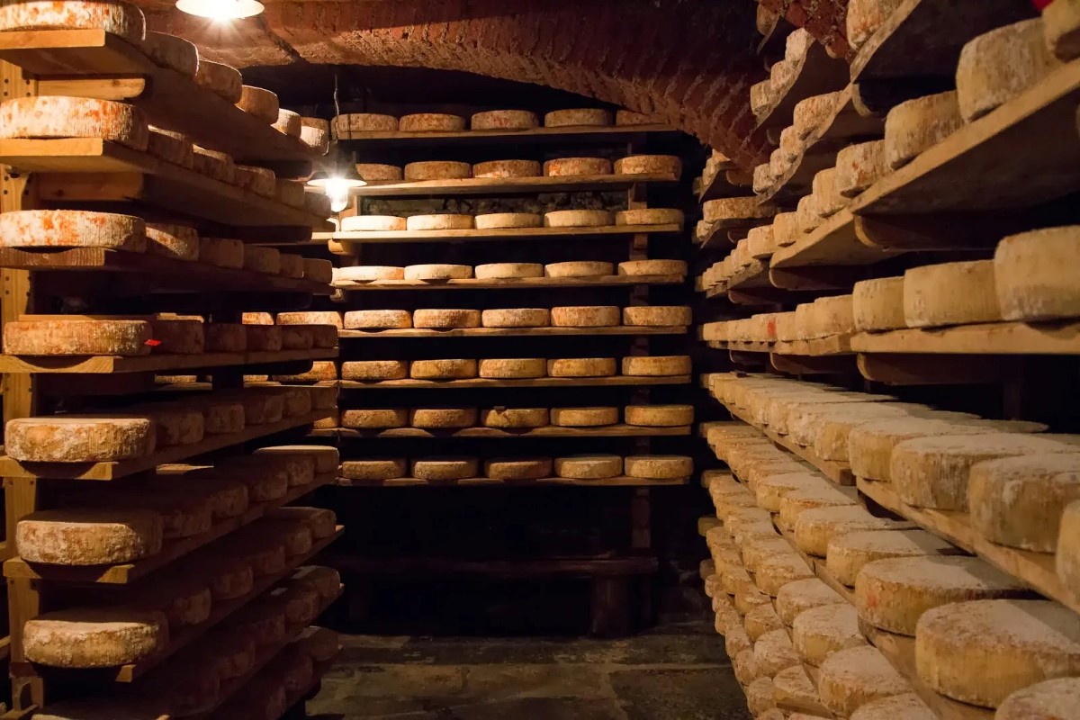 Cheese underground