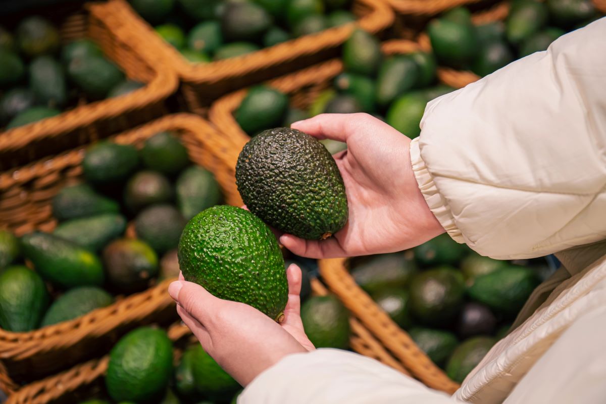Choosing Avocados