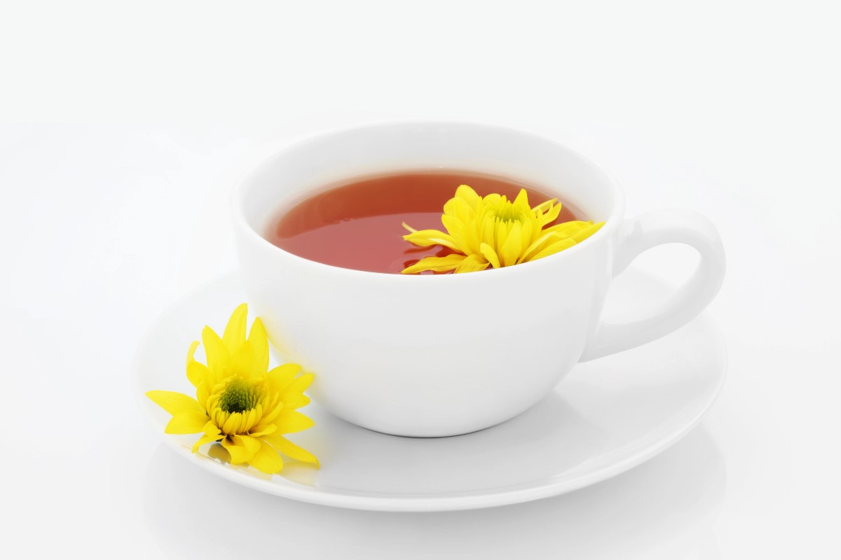 Chrysanthemum