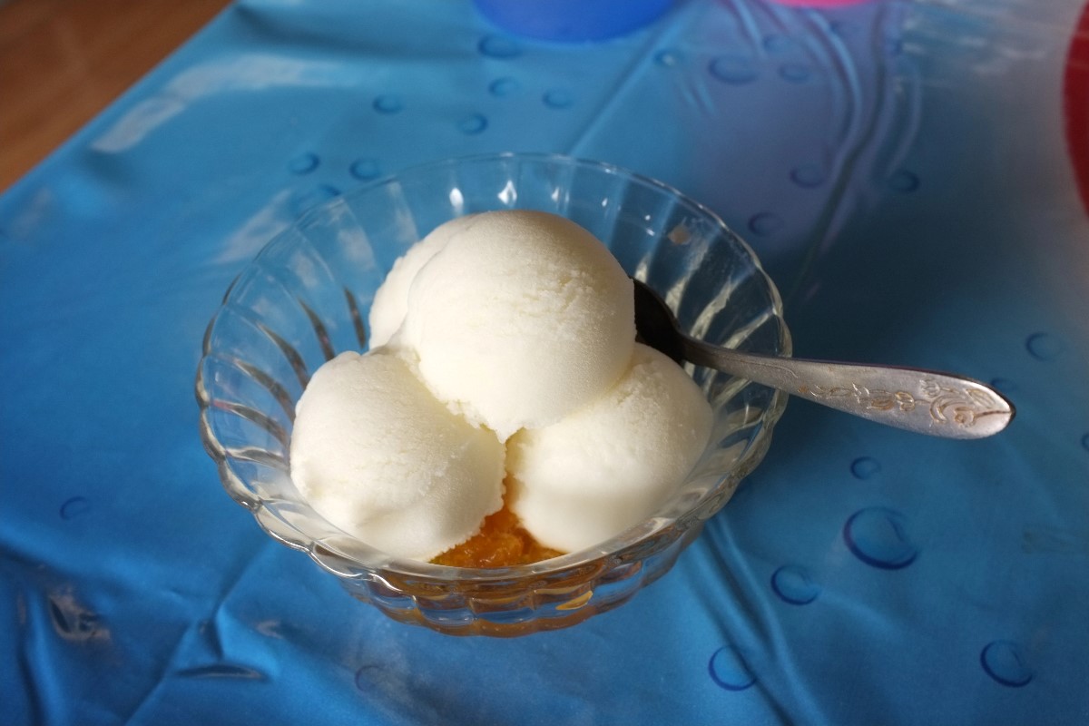 Coconut milk ice cream 1