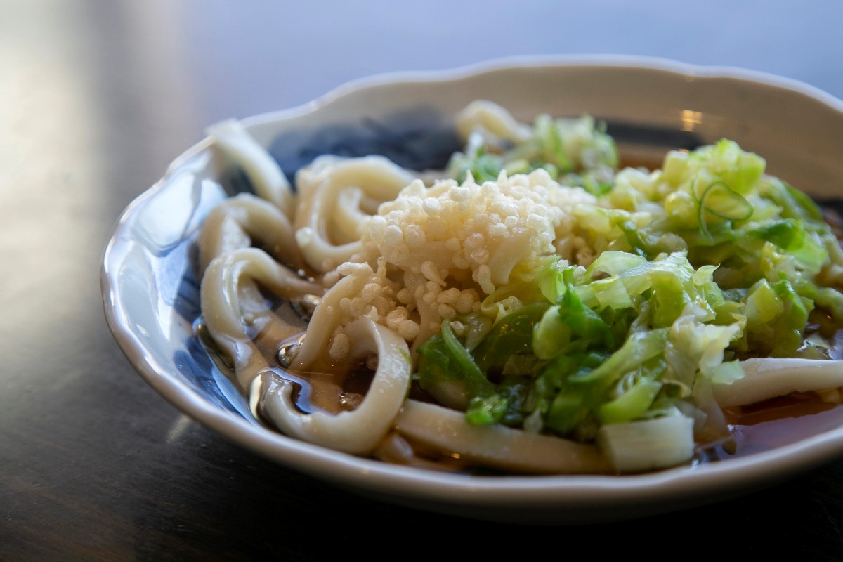 Cold udon noodles