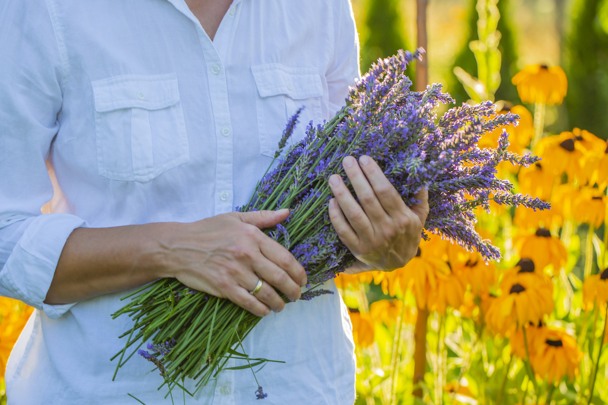 Why Farmers Markets In These 6 States Smell Like French Lavender
