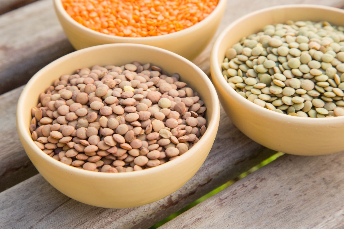 Dried Lentil