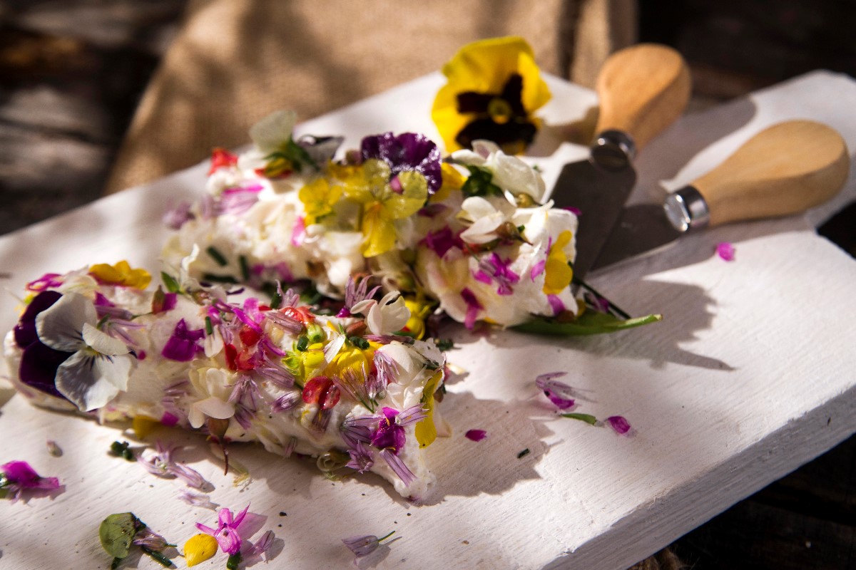 Edible flower on goat cheese