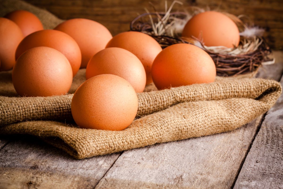 Eggs 2
