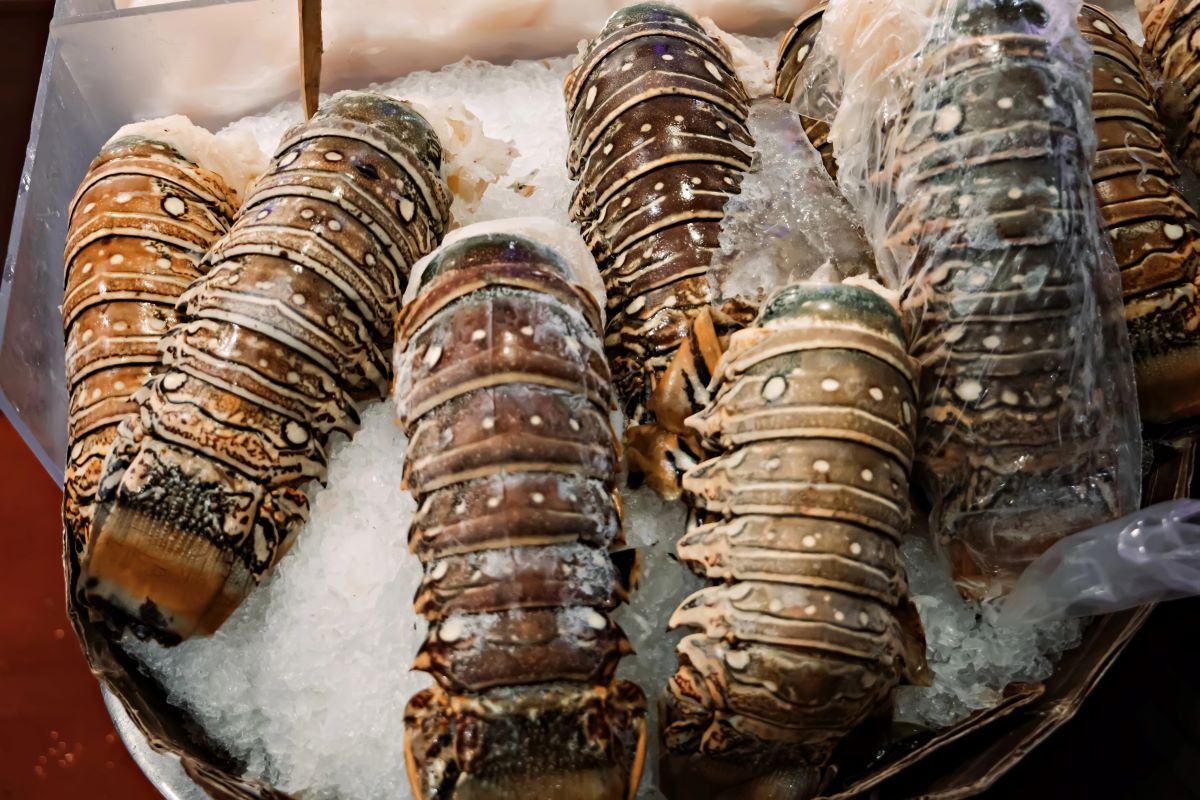 FRozen lobster tailucpage