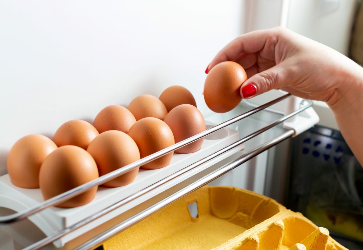 Freezing Eggs