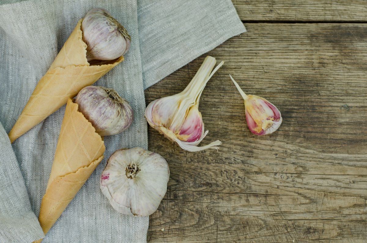 Garlic ice cream