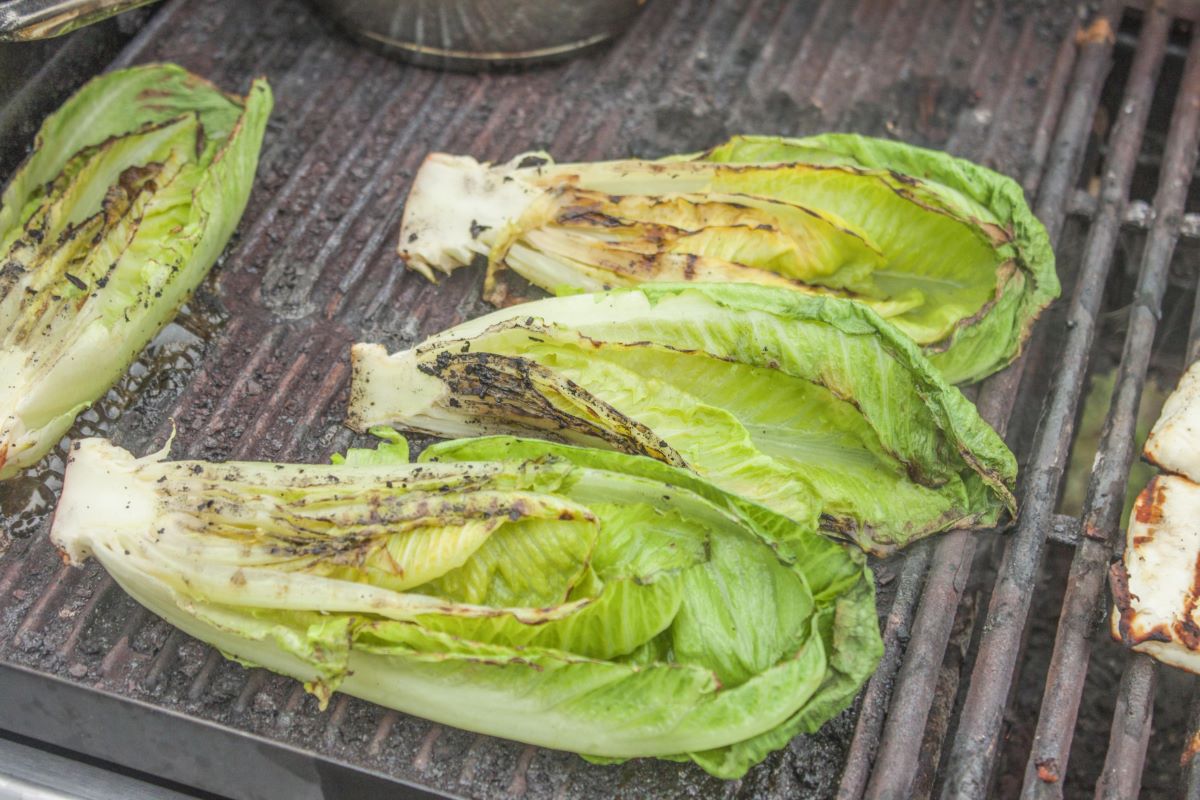 Grilled Romaine