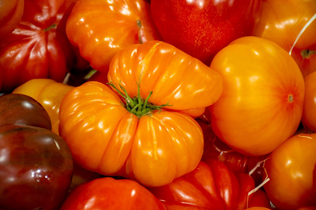 Heirloom tomatoes
