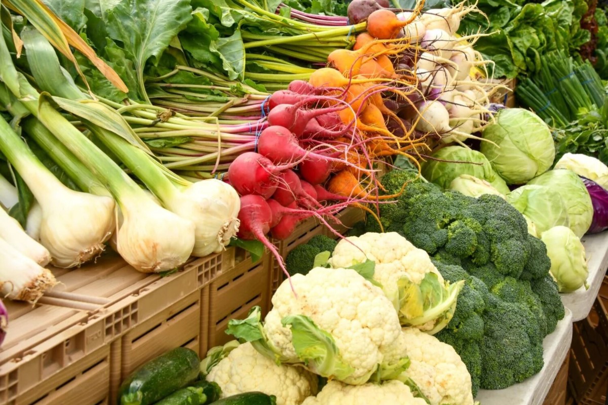 Hollywood farmers market