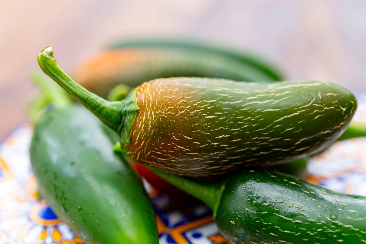 Jalapenos