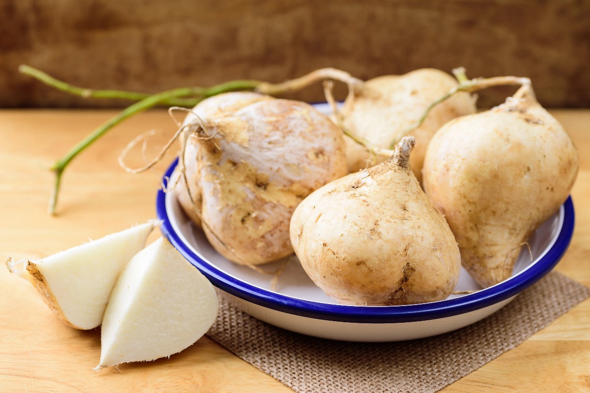 Jicama root