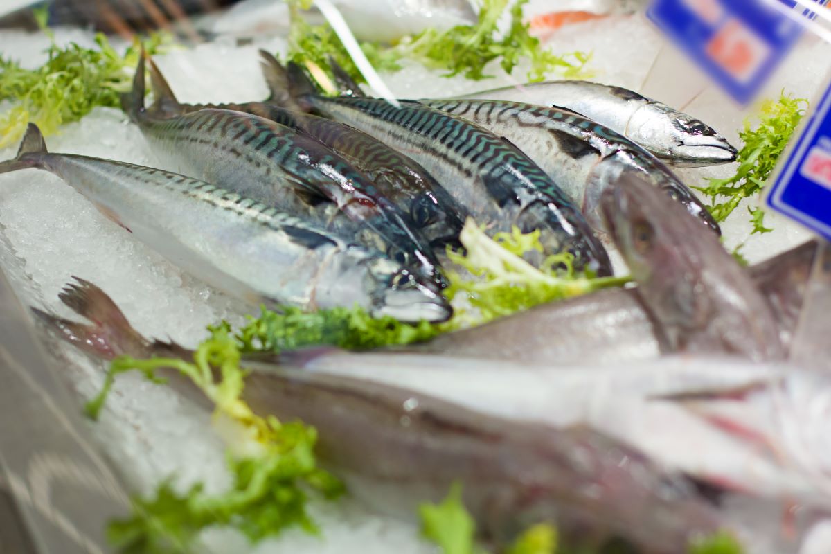 Labelled fish in store