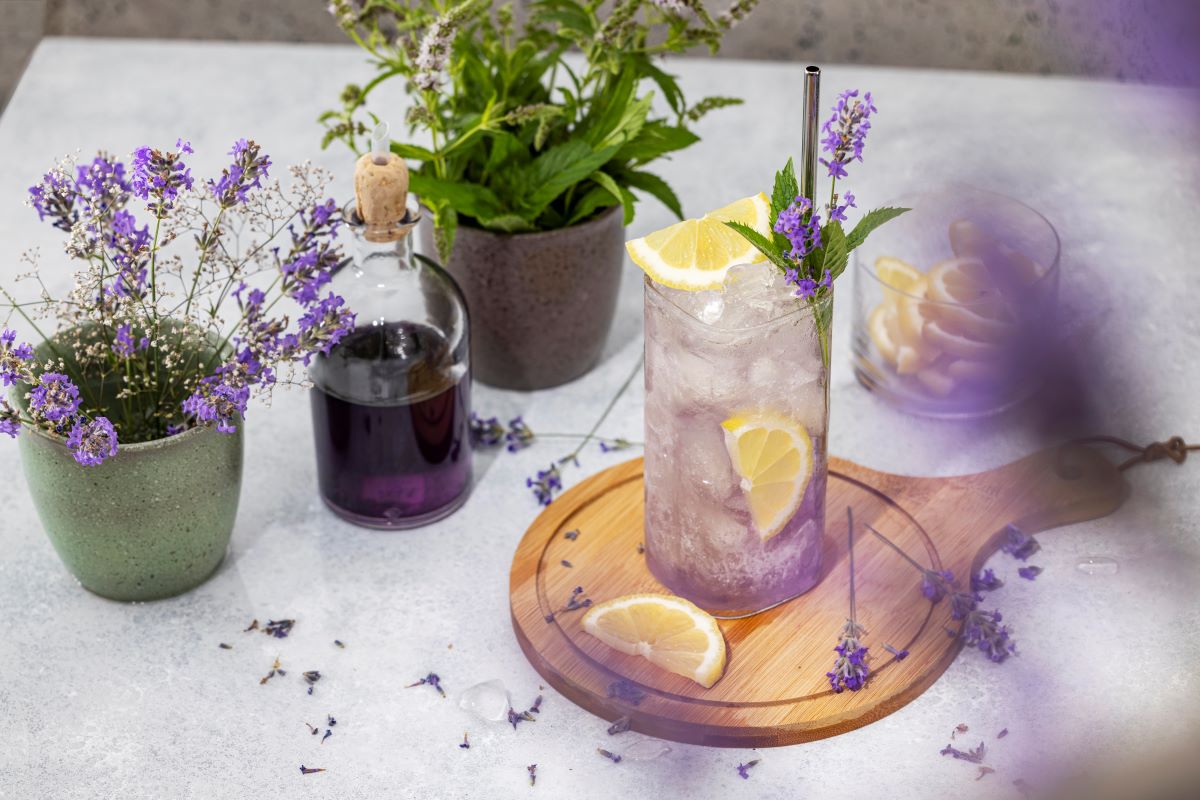 Lavender lemonadevika mermaid