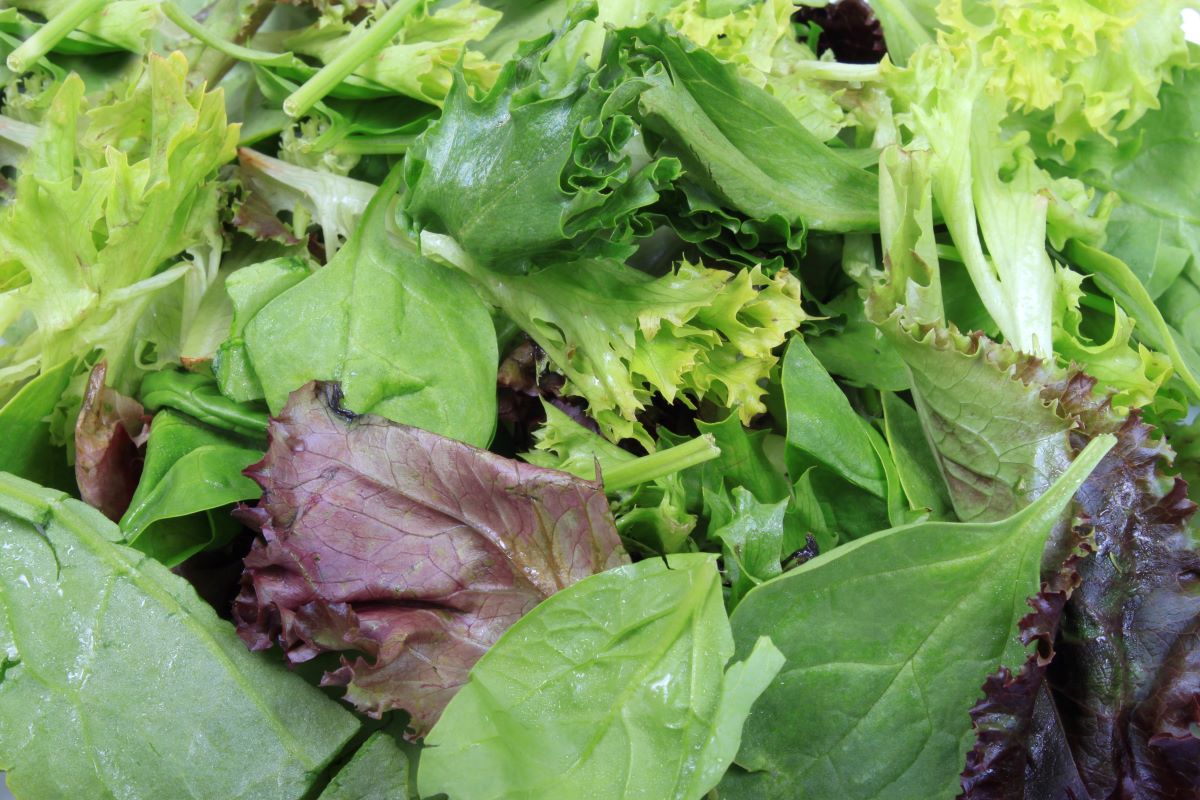 Leafy Greens